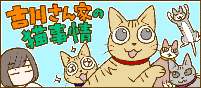 マンガ連載：吉川さん家の猫事情