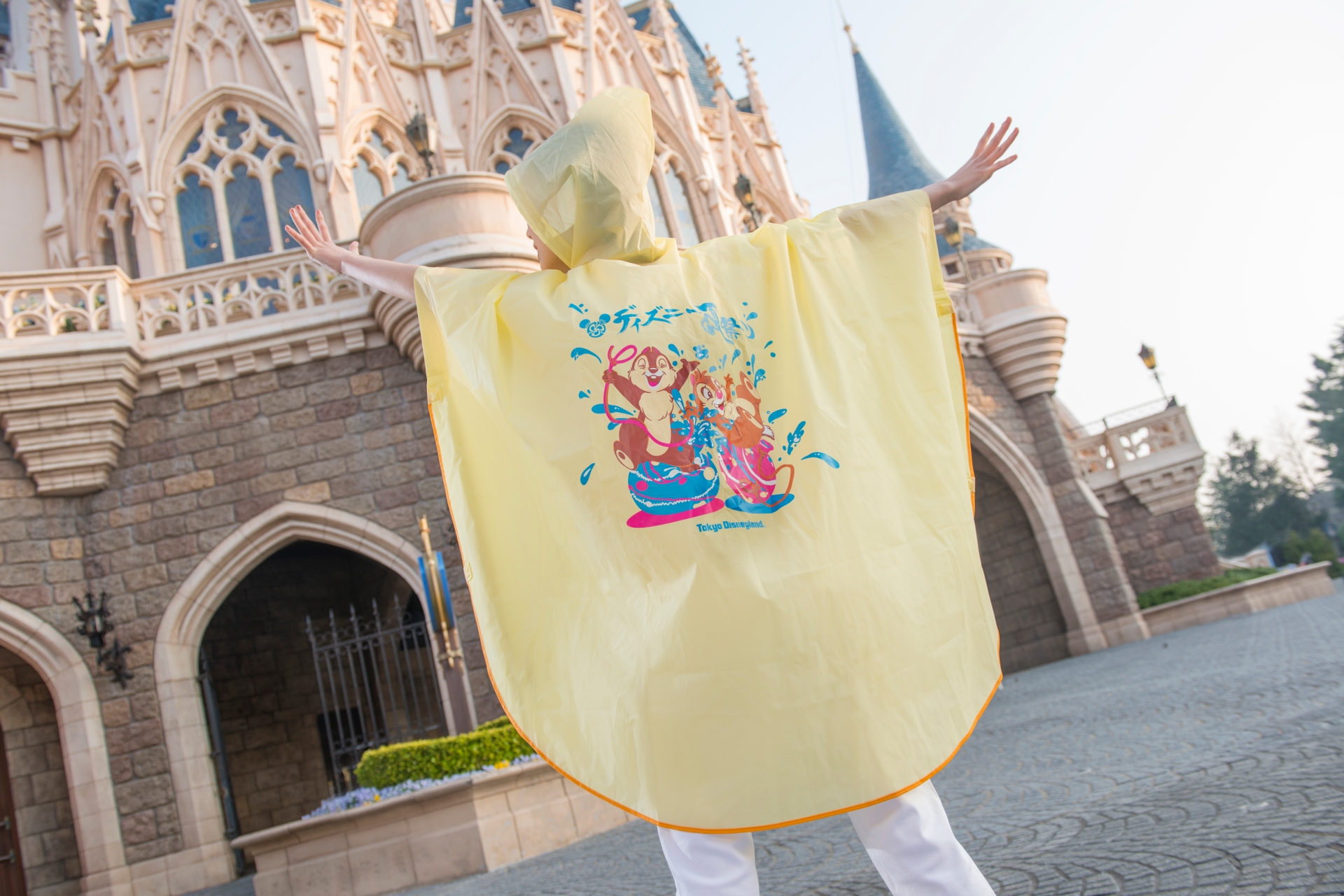 Tdl 18 ディズニー夏祭り 縁日を楽しむチップ デールのスペシャルグッズ大特集 写真 15 35 ディズニー特集 ウレぴあ総研