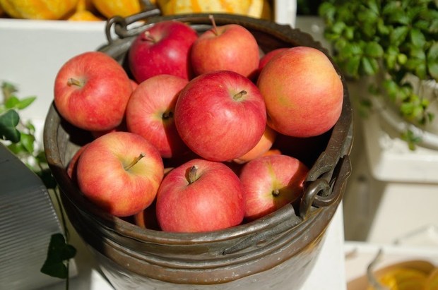 肌美人 はみんな食べてる リンゴ の驚くべき美容効果まとめ 1 3 Mimot ミモット