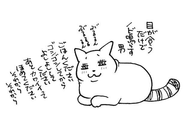 ニャんと そういう事だったのか 猫医者 が教える 勘違いしがちな猫の生態 2 3 Mimot ミモット