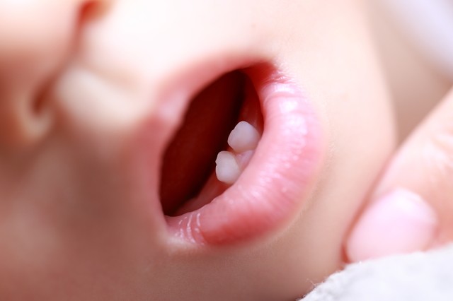 赤ちゃん 生後半年から使える 歯並び悪化防止などに役立つ 乳歯ケア アイテム3 1 2 ハピママ