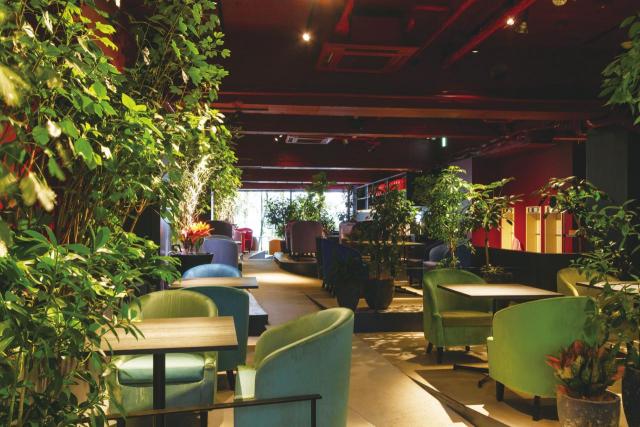 ボタニカルカフェ 緑の中で 癒やしの時間 を 一度は行きたいおすすめ店 兵庫 2 2 季節ぴあ