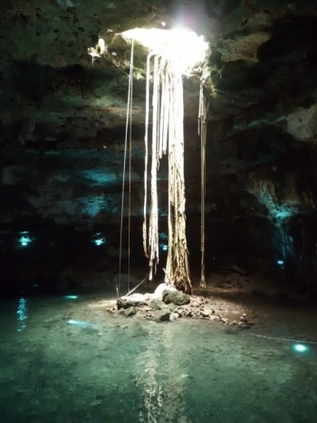 Tdsトリビア 魔宮は洞窟の上に作られた インディ ジョーンズ アドベンチャーの秘密を探る 1 4 ディズニー特集 ウレぴあ総研