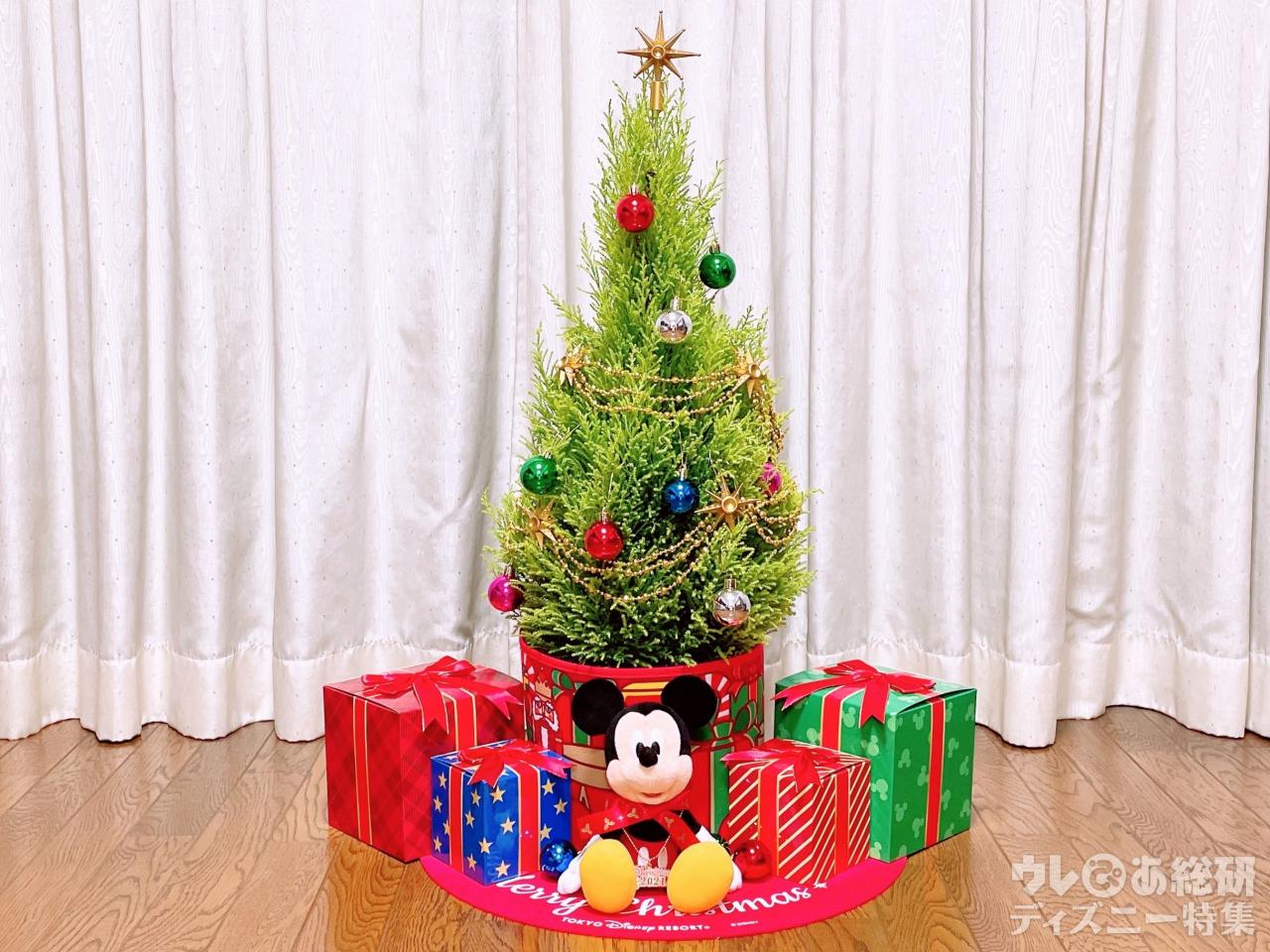 東京ディズニーリゾート 限定 生木クリスマスツリー 到着レポ パークのツリーと同じで感激 1 3 ディズニー特集 ウレぴあ総研 東京ディズニーリゾート 限定 生木クリスマスツリー 到着レポ パークのツリーと同じで感激 1 3 ディズニー特集 ウレぴあ総研