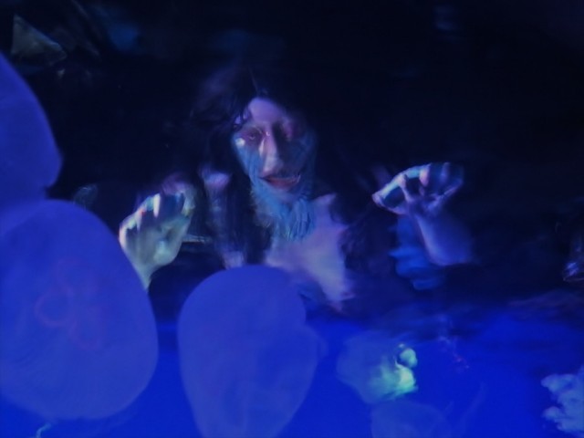これは怖い 夜の水族館に悲鳴が ホラー水族館 あやかしの人魚 体験レポート 2 3 ヤバチケ