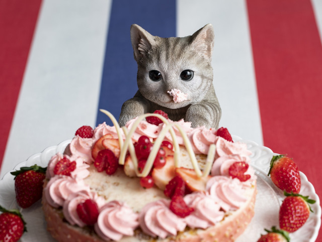 猫 スイーツ食べ放題 が想像以上のかわいさ ストロベリーcatsコレクション ヒルトン東京で開催 うまいめし