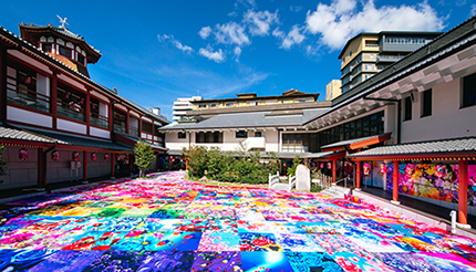 蜷川実花さんが装飾！ 年末年始は幻想的な「道後温泉」へ - ウレぴあ総研