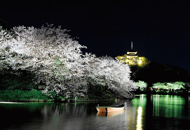 【お花見】思わずうっとり! 「ライトアップ夜桜」おすすめスポット13(写真 18/22) - ウレぴあ総研