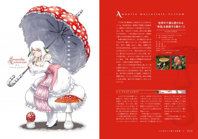 キノコを美少女へ擬人化したイラスト図鑑がtvアニメ化 キノコの娘 17年に放送決定 Medery Character S