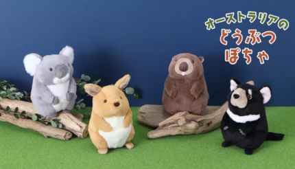 コアラやウォンバットなどの「ぽちゃぬいぐるみ」本日発売、ブルー