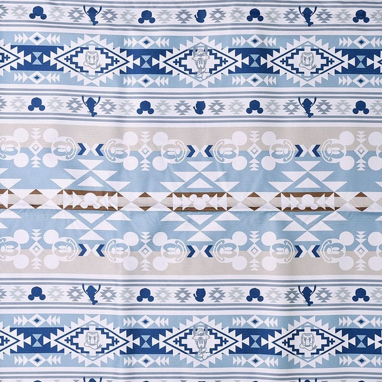 イエナカキャンプ が捗る ディズニーストアと Coleman の共同企画アウトドアグッズ 写真 6 ディズニー特集 ウレぴあ総研