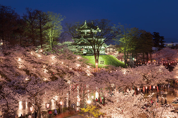 お花見 思わずうっとり ライトアップ夜桜 おすすめスポット13 1 4 ウレぴあ総研