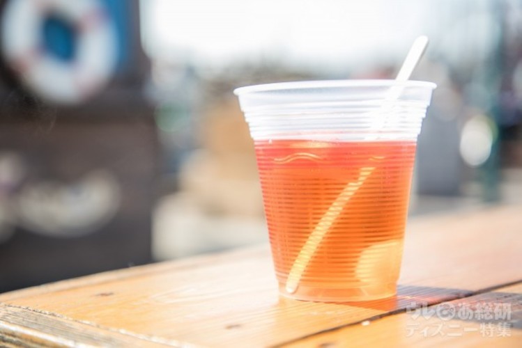 Tds ディズニークリスマス夜のイルミネーションとアルコールで巡る大人女子旅に出かけよう 写真 18 30 ディズニー特集 ウレぴあ総研