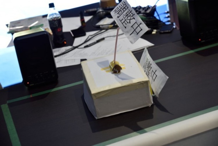 ヘボコン ヘボすぎてヤバい 技術力の低い人限定 ロボコン に行ってみた 写真 13 27 ヤバチケ