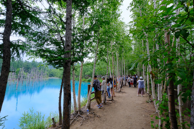 夏の北海道絶景スポット 5選 北海道を走りまくったライターが厳選 3 3 ハピママ