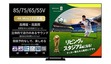 REGZAがシャープ抑えて1位・2位独占、26年上半期に売れた4KテレビTOP10
