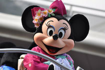 Tdr 1年で一番ガラガラのパークを楽しむなら今 15年1月混雑対策まとめ 1 4 ディズニー特集 ウレぴあ総研