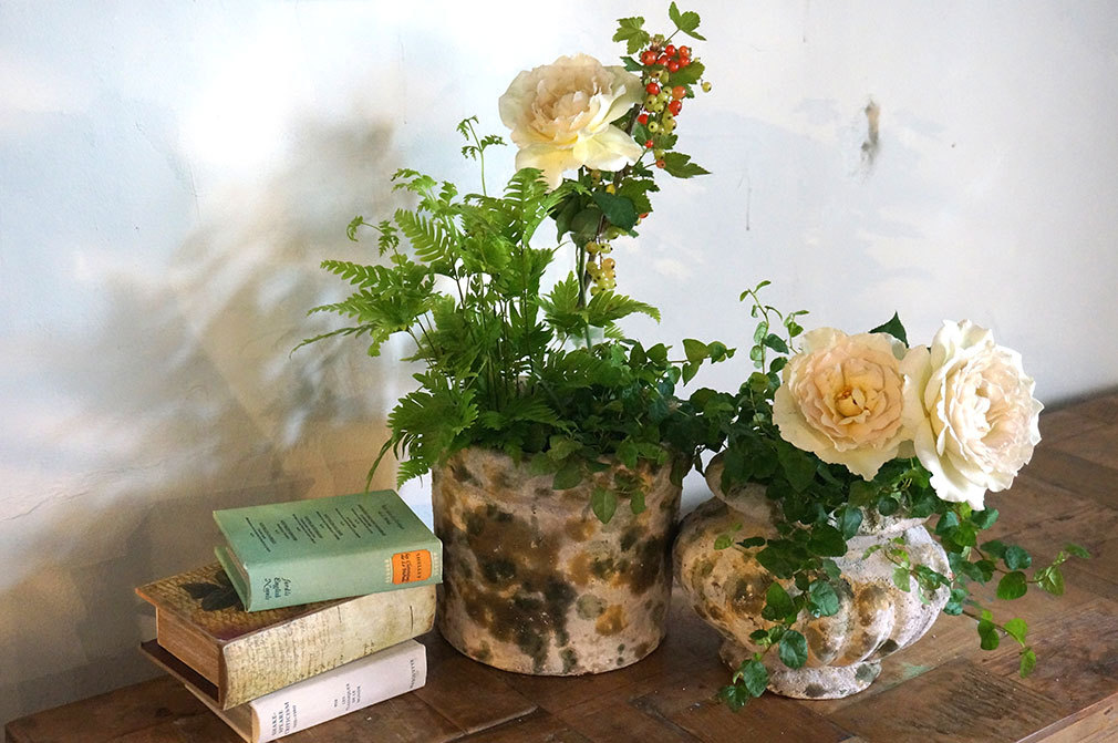 ボタニカル診断 植物の力でパワーチャージ 青山フラワーマーケットに聞いた 性格別オススメ植物 4種 3 5 Mimot ミモット