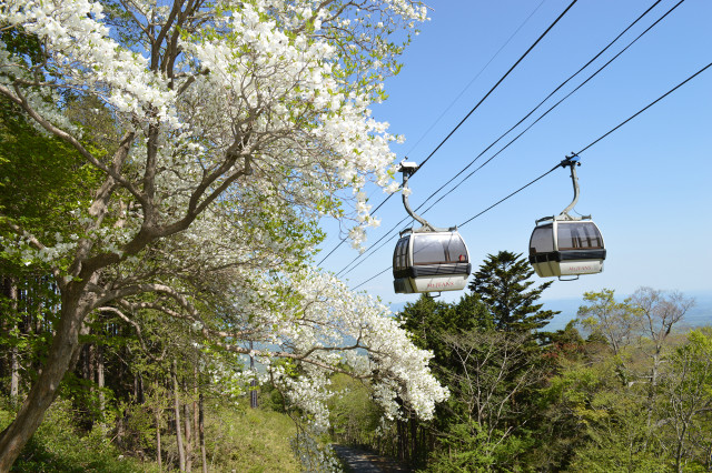 ペット乗車ok のゴンドラで 日本最大級の花の絶景 を空中散歩 こどもと遊ぼう クルマ旅マスター Vol 2 1 2 Fundorful