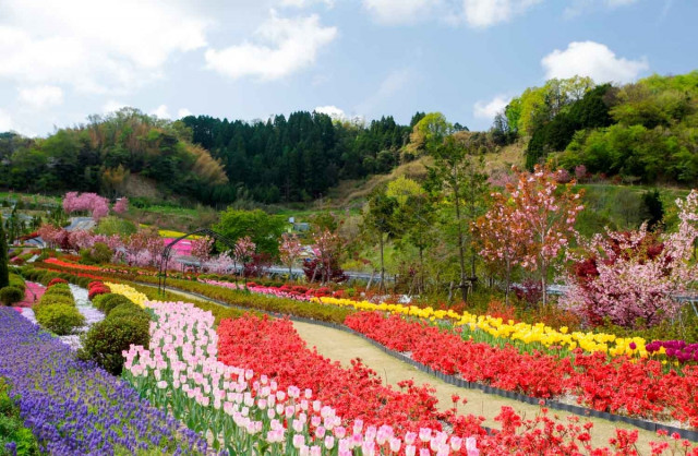子連れの穴場 自然が満喫できる 京都郊外観光スポット 6選 1 2 ハピママ